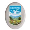 Charlottesville Virginia Design C Souvenir Flying Disc 4-Pack view 1