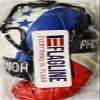 Honduras and Philippines - Mini Boxing Gloves view 2