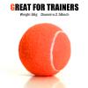 MRYCZ FYRHD Training Tennis Balls  18 Pack Practice Balls with Mesh Bag, Great for Beginners & Dogs, Bulk Tennis Balls for Training & Play view 2