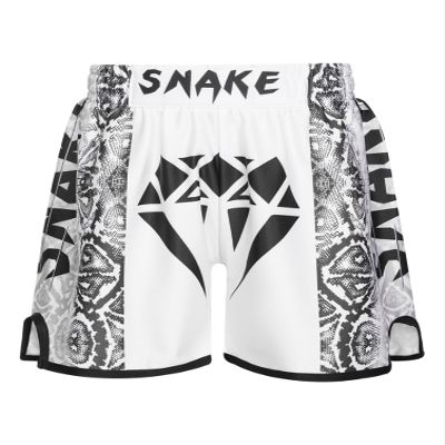dPois Kids Boys Muay Thai Boxing Shorts MMA Kickboxing Trunks Martial Arts Grappling Bottoms Activewear Type B 15-16 Years