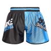 dPois Kids Boys Muay Thai Boxing Shorts MMA Kickboxing Trunks Martial Arts Grappling Bottoms Activewear Type F 5-6 Years view 2
