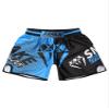 dPois Kids Boys Muay Thai Boxing Shorts MMA Kickboxing Trunks Martial Arts Grappling Bottoms Activewear Type F 5-6 Years view 3