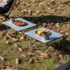 iClimb Ultralight Compact Camping Folding Table with Carry Bag (Reinforced Silver - S) view 2