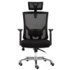 Executive Desk Chair Ergonomic Office Chair with Adjustable Headrest and Armrests High Back Desk Chair with Lumbar Support, Breathable Mesh Back, Thick Seat Cushion, Swivel Chair Task Chair Office Cha view 1