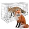 Large Live Animal Trap for Fox,42.5" X15 X17 Extra Large Animal Trap, Live Animal Traps cage for Raccoons Heavy Duty,Fox Traps for Trapping,Coyotes,Humane Catch and Release view 1