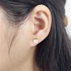 18g Titanium Apple Fruit Earrings for Women Girls 14k Gold Plated Surgical Stainless Steel Hypoallergenic Tiny Studs Cartilage Tragus Screw Back Piercing Sensitive Ear Homecoming Jewelry (Pink) view 2