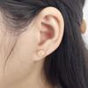 18g Titanium Flower Stud Earrings for Women Girls Surgical Stainless Steel Cute Tiny Rose Studs Cartilage Tragus Screw Back Post Conch Piercing Sensitive Ear Jewelry (Pink) view 2