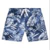 Wade Swim Trunks view 1