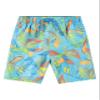 Explore Swim Trunks view 1