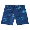 Cape May Swim Trunks view 1