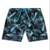 Explore Swim Trunks view 1