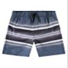Linear Swim Trunks view 1