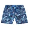 Explore Swim Trunks view 1