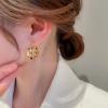 Hurricane sister-in-law Chen Shuting with the same geometric hoop earrings, women's niche high-end earrings, unique design earrings, earrings view 3
