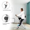 3 in 1 Folding Exercise Bike, Foldable Stationary Bike with Arm Workout, Backrest & Cushy Seat, 8 Levels of Magnetic Resistance Portable Indoor Fitness Bikes view 4