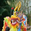 Roedax Dragon Dance Silk Dragon Dance4m Lion Dance Chinese Traditional Festival Dragon Dance Annual Party Performance Parade Lion Dance Head Outdoor view 4