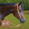 Billy Royal Harness Leather Reins for Horses with Buckle Ends 5/8" | Perfect for Stable Use | Eliminates Excess Motion | Premium Harness Leather | Easy Attachment | Made in USA view 3