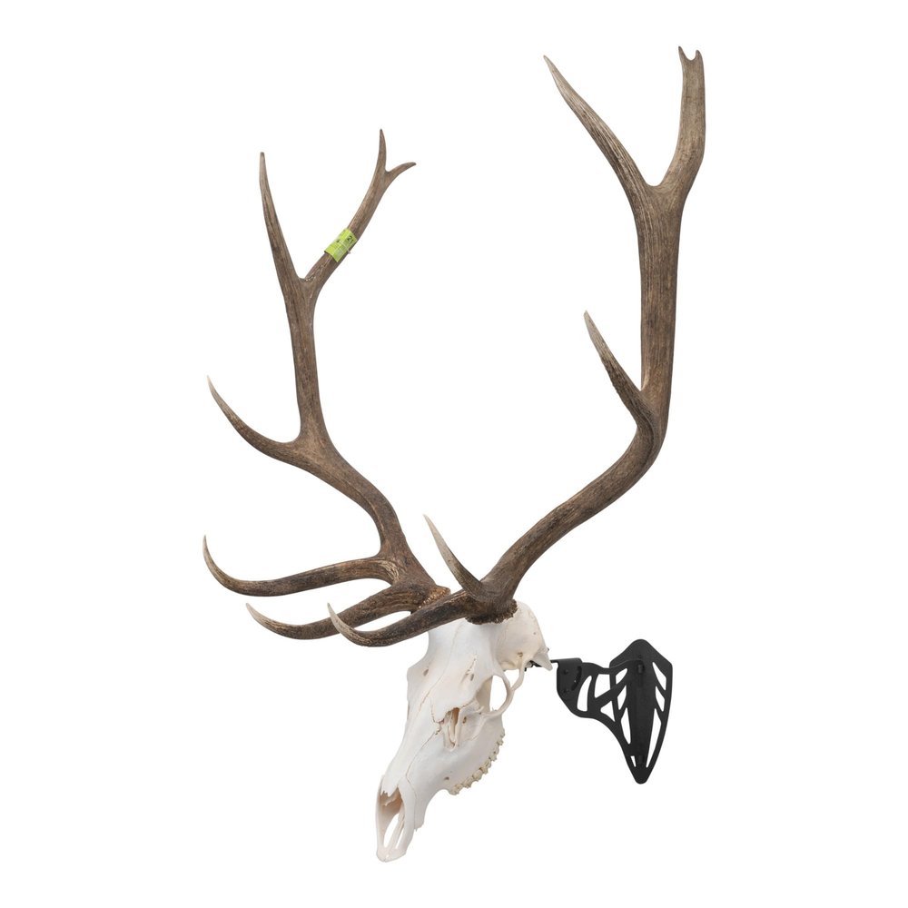 Allen Company EZ Mount Magnum Skull Hanger, Black