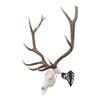 Allen Company EZ Mount Magnum Skull Hanger, Black view 1