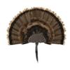 Allen Company EZ Mount Turkey Fan Display, Brown view 1