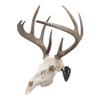 Allen Company EZ Mount Skull Hanger, Fixed, Black view 1