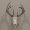 Allen Company EZ Mount Skull Hanger, Fixed, Black view 4