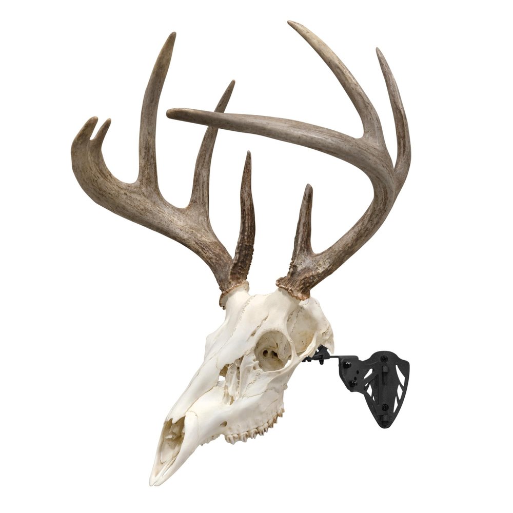 Allen Company EZ Mount Trophy Skull Hanger, Black