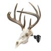 Allen Company EZ Mount Trophy Skull Hanger, Black view 1