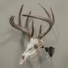 Allen Company EZ Mount Trophy Skull Hanger, Black view 3