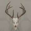 Allen Company EZ Mount Trophy Skull Hanger, Black view 4