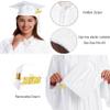 Grad HAGO Unisex Shiny Graduation Cap and Gown Tassel Set 2025 2026 for High School and Bachelor view 4