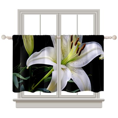 AQUNNEW Stylish Lily Curtain Set 2 Panels for Caf Living Room Bedroom Bathroom Kitchen Rod Pocket Curtains