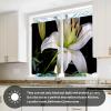 AQUNNEW Stylish Lily Curtain Set 2 Panels for Caf Living Room Bedroom Bathroom Kitchen Rod Pocket Curtains view 3