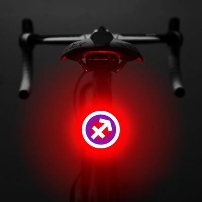 Bicycle Tail Light Fun Zodiac Sign Shaped Tail Light Rechargeable Bicycle Light for Mountain Bikes Brake Light for Road Bikes, Creative Cycling Gear (Capricorn)