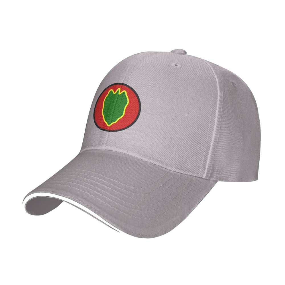 24 Infantry Division SSI Baseball Cap for Men Women Adjustable Funny Dad Hat Gray