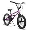 cubsala Freestyle BMX Bike, 20 Inch Kids Bicycle for 7-13 Years Old Kids and Beginner Level Rider, Purple view 1