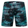 ELETOP Men's Swim Trunks Quick Dry Bathing Suit Swimming Board Shorts Mesh Lining Beach Swimwear Black Green 4XL view 1
