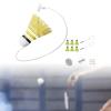 Vaveren Badminton Solo Trainer Self Practice Trainer Professional Strength Training Aid with Badminton Shuttlecock for Games Workout, Double Racket view 2