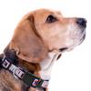 New & Improved Pets First NFL Licensed PET Collar- Heavy-Duty, Strong, and Durable New Dog Collar. Available in 32 Football Teams and 4 Sizes view 3