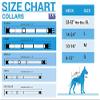 New & Improved Pets First NFL Licensed PET Collar- Heavy-Duty, Strong, and Durable New Dog Collar. Available in 32 Football Teams and 4 Sizes view 4
