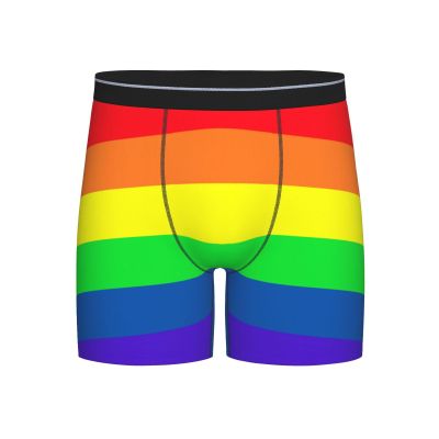 ACTYDER Gay Pride LGBT Rainbow flag Men's Boxer Briefs, Mens Trunks Underwear Wicking-Breathable Underpants, Medium