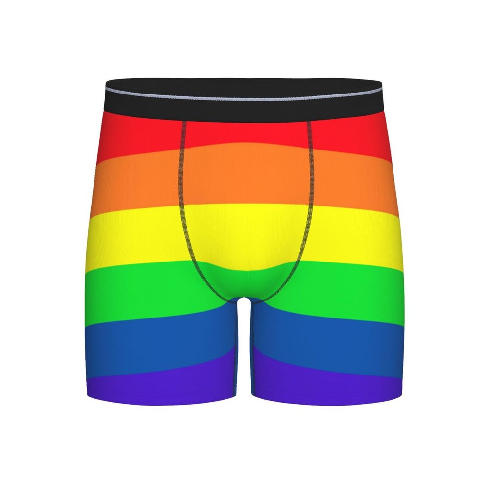 ACTYDER Gay Pride LGBT Rainbow flag Men's Boxer Briefs, Mens Trunks Underwear Wicking-Breathable Underpants, Medium
