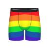 ACTYDER Gay Pride LGBT Rainbow flag Men's Boxer Briefs, Mens Trunks Underwear Wicking-Breathable Underpants, Medium view 1