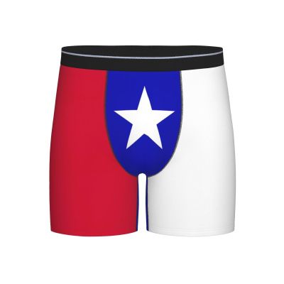 ACTYDER Texas Lone Star State Flag Pattern Men's Boxer Briefs, Mens Trunks Underwear Wicking-Breathable Underpants, Large Black
