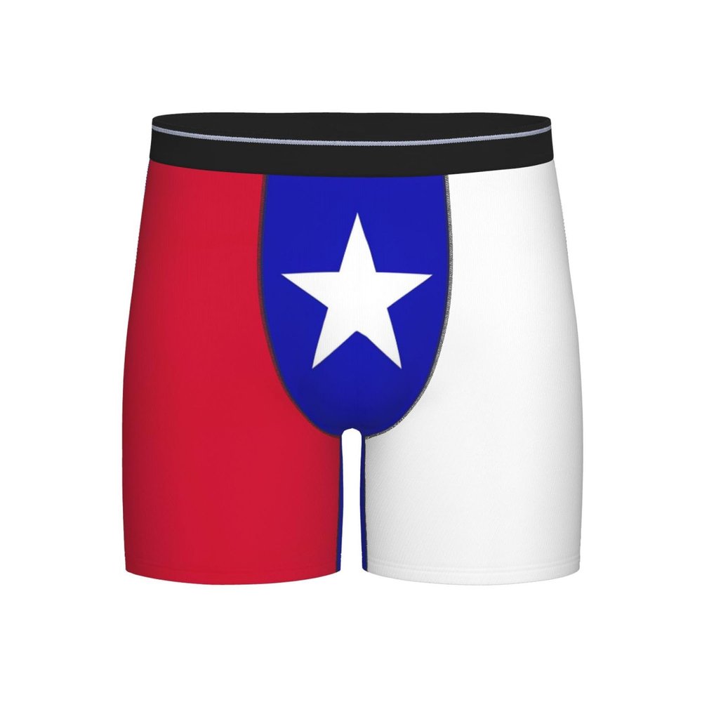 ACTYDER Texas Lone Star State Flag Pattern Men's Boxer Briefs, Mens Trunks Underwear Wicking-Breathable Underpants, Large Black