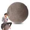 AOLIAZMAX Yoga Ball Cover - Pilates Exercise Yoga Ball Cover, Anti Scratch Exercise Ball Cover with Handle for 55/65/75cm Birthing Ball, Stability Ball, Balance Ball (Without Ball) view 1