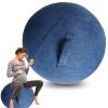 AOLIAZMAX Yoga Ball Cover - Pilates Exercise Yoga Ball Cover, Anti Scratch Exercise Ball Cover with Handle for 55/65/75cm Birthing Ball, Stability Ball, Balance Ball (Without Ball) view 1