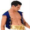 Agoky Men's Sleeveless Vest/Pants Costume Arabian Prince Cosplay Dress Up Waistcoat for Halloween Blue X-Large view 4