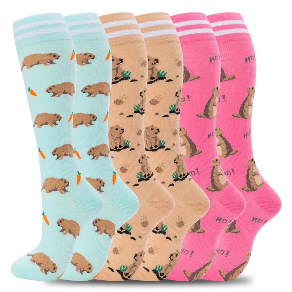 fenglaoda Compression Socks for Women Men Support Circulation 6 Pairs Socks For Nurse, Travel, Flight