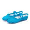 Ballet Shoes Split-Sole Glitter Flat Yoga Dance Shoes for Girls Toddler/Kid Pin Ballet (Sky Blue, 13.5 Little Child) view 3